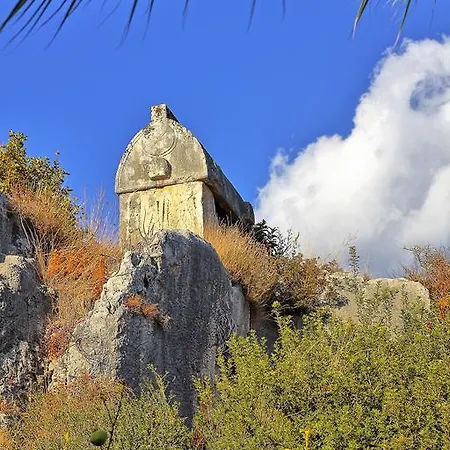 Baba Veli *